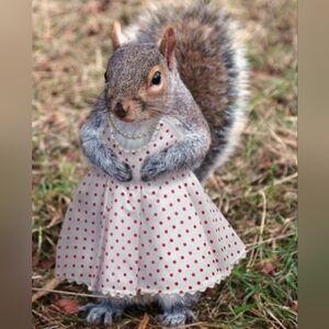 Meet your Posher, Kymberly